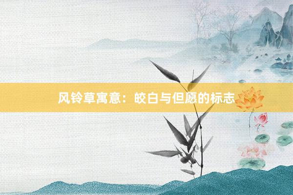 风铃草寓意：皎白与但愿的标志