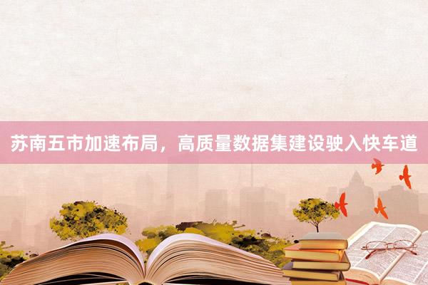 苏南五市加速布局，高质量数据集建设驶入快车道