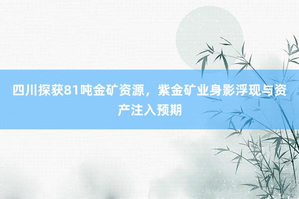四川探获81吨金矿资源，紫金矿业身影浮现与资产注入预期