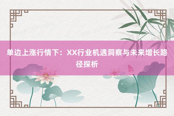 单边上涨行情下：XX行业机遇洞察与未来增长路径探析
