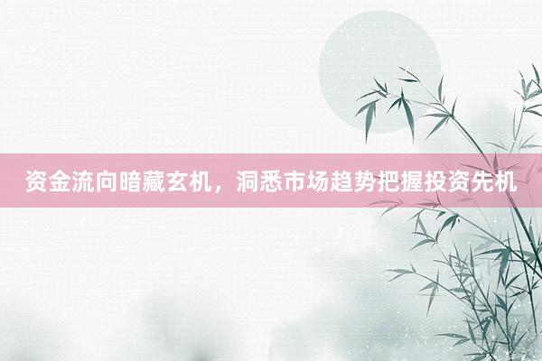 资金流向暗藏玄机，洞悉市场趋势把握投资先机
