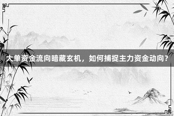 大单资金流向暗藏玄机，如何捕捉主力资金动向？
