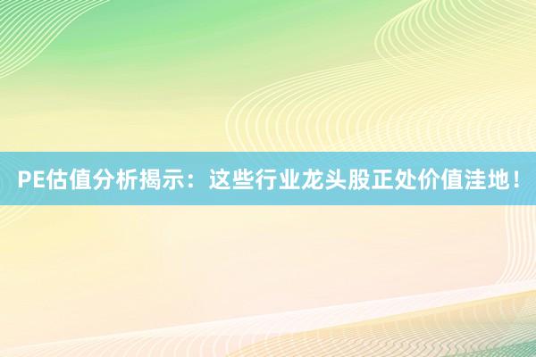 PE估值分析揭示：这些行业龙头股正处价值洼地！