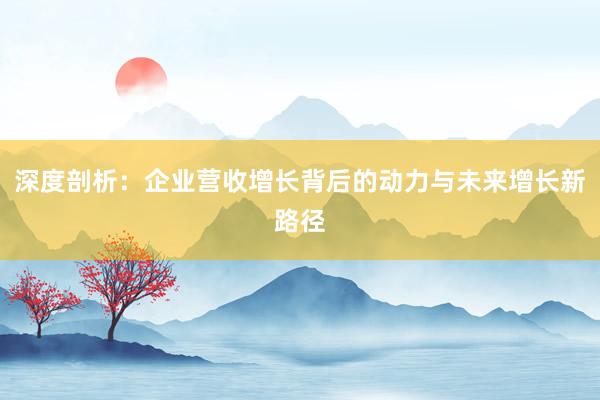 深度剖析：企业营收增长背后的动力与未来增长新路径
