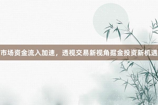 市场资金流入加速，透视交易新视角掘金投资新机遇