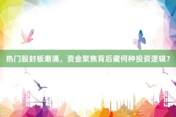 热门股封板潮涌，资金聚焦背后藏何种投资逻辑？