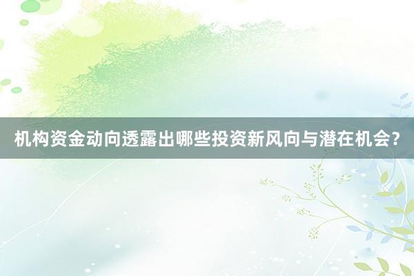 机构资金动向透露出哪些投资新风向与潜在机会？