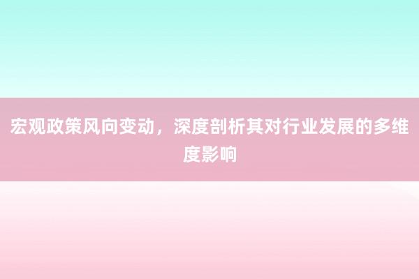 宏观政策风向变动，深度剖析其对行业发展的多维度影响