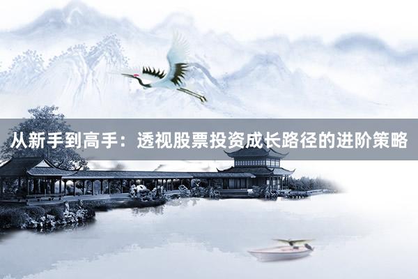 从新手到高手：透视股票投资成长路径的进阶策略