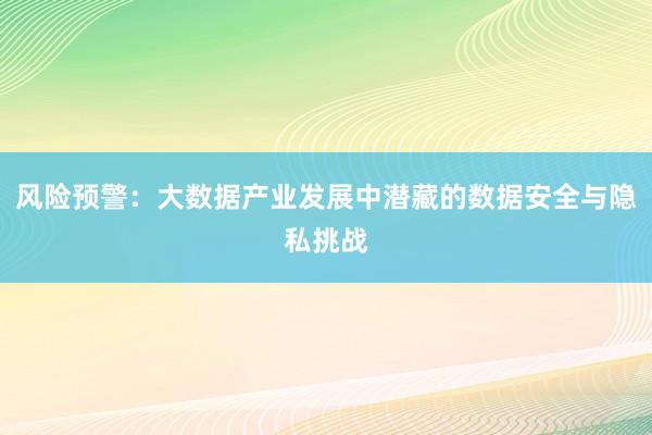 风险预警：大数据产业发展中潜藏的数据安全与隐私挑战