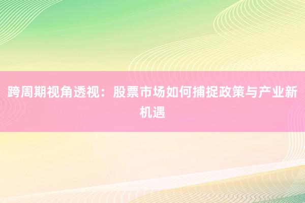 跨周期视角透视：股票市场如何捕捉政策与产业新机遇