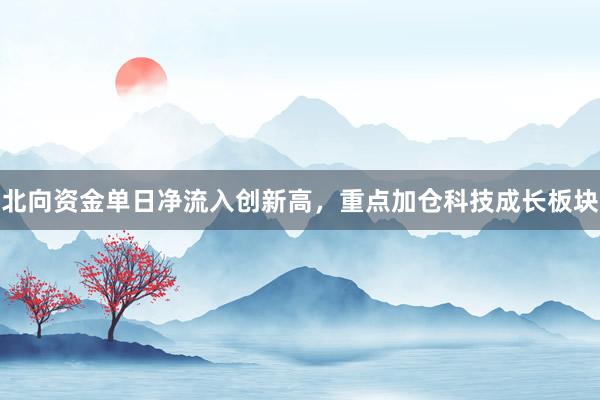 北向资金单日净流入创新高，重点加仓科技成长板块