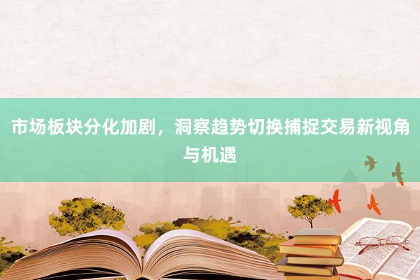 市场板块分化加剧,洞察趋势切换捕捉交易新视角与机遇