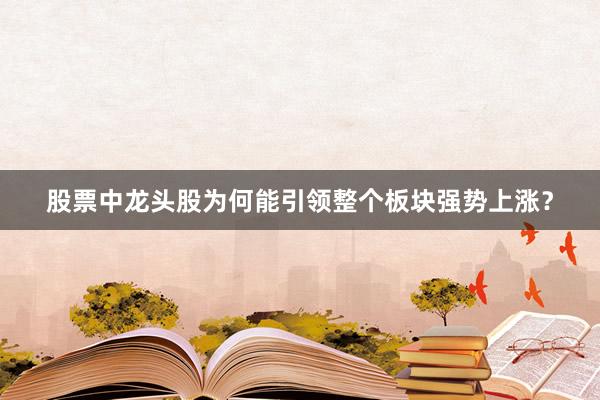 股票中龙头股为何能引领整个板块强势上涨？